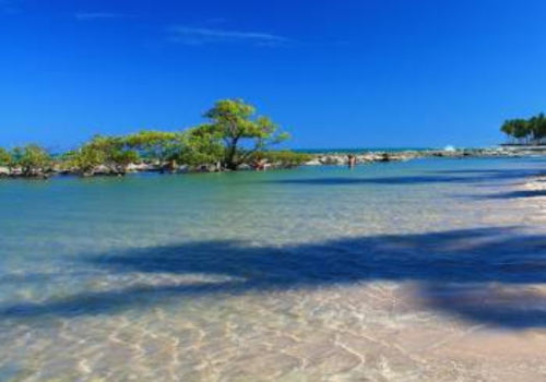 Praia dos carneiros